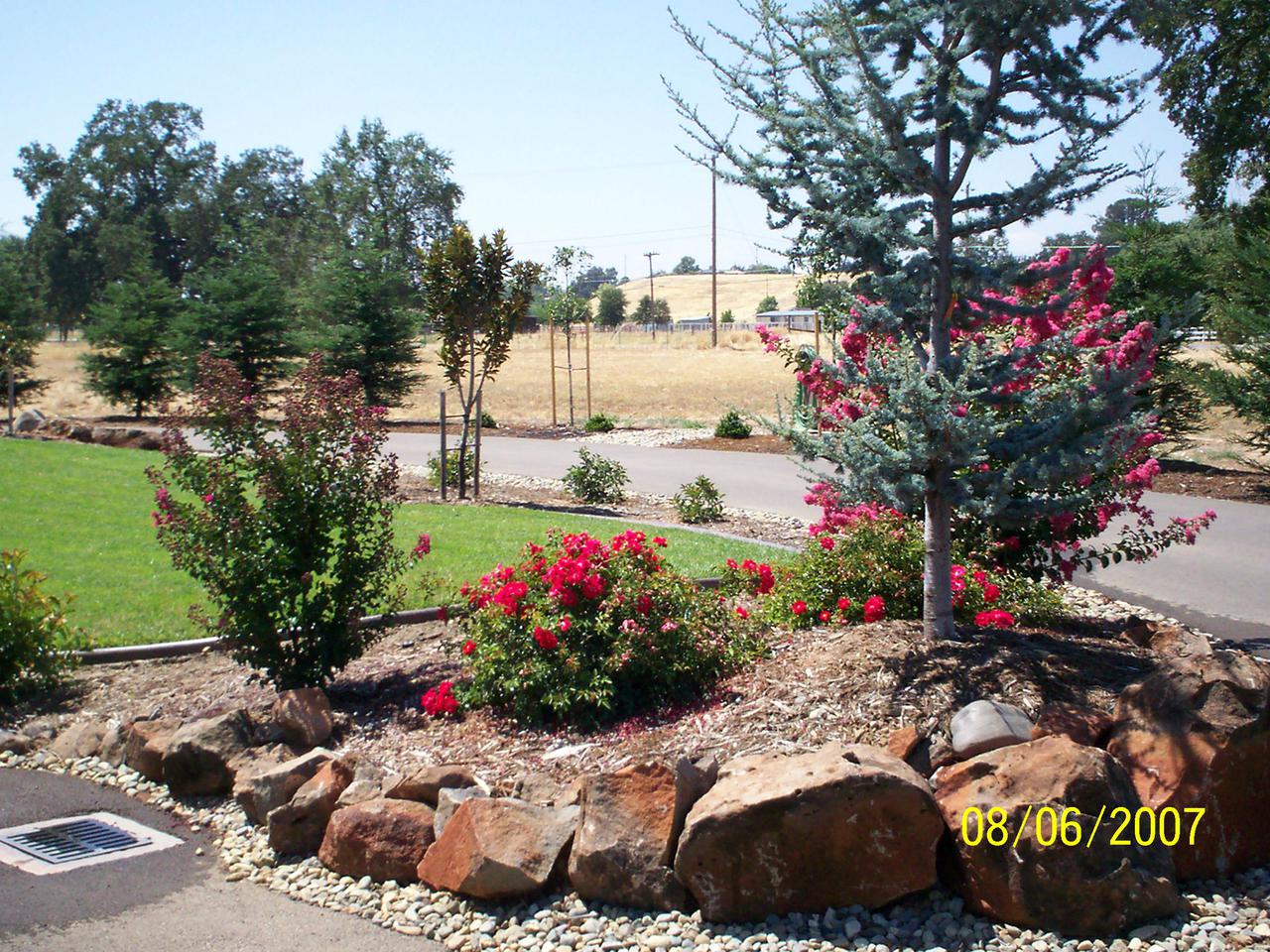 work pictures 216.jpg