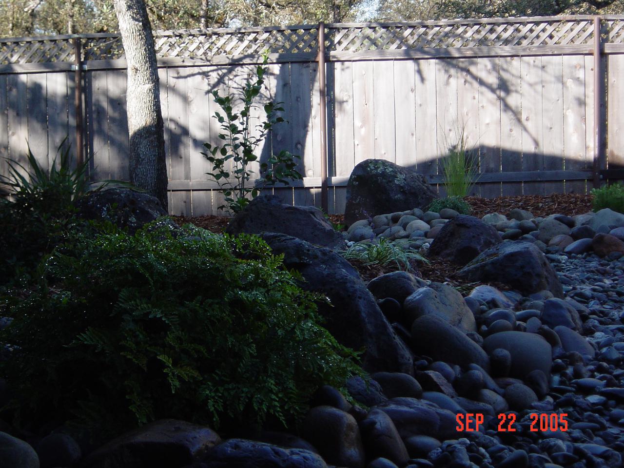 doobie_s concert 025.jpg