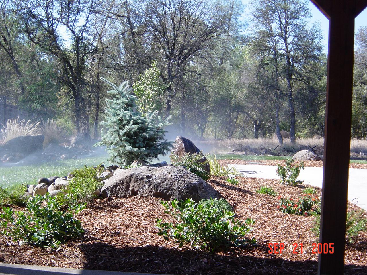 doobie_s concert 017.jpg