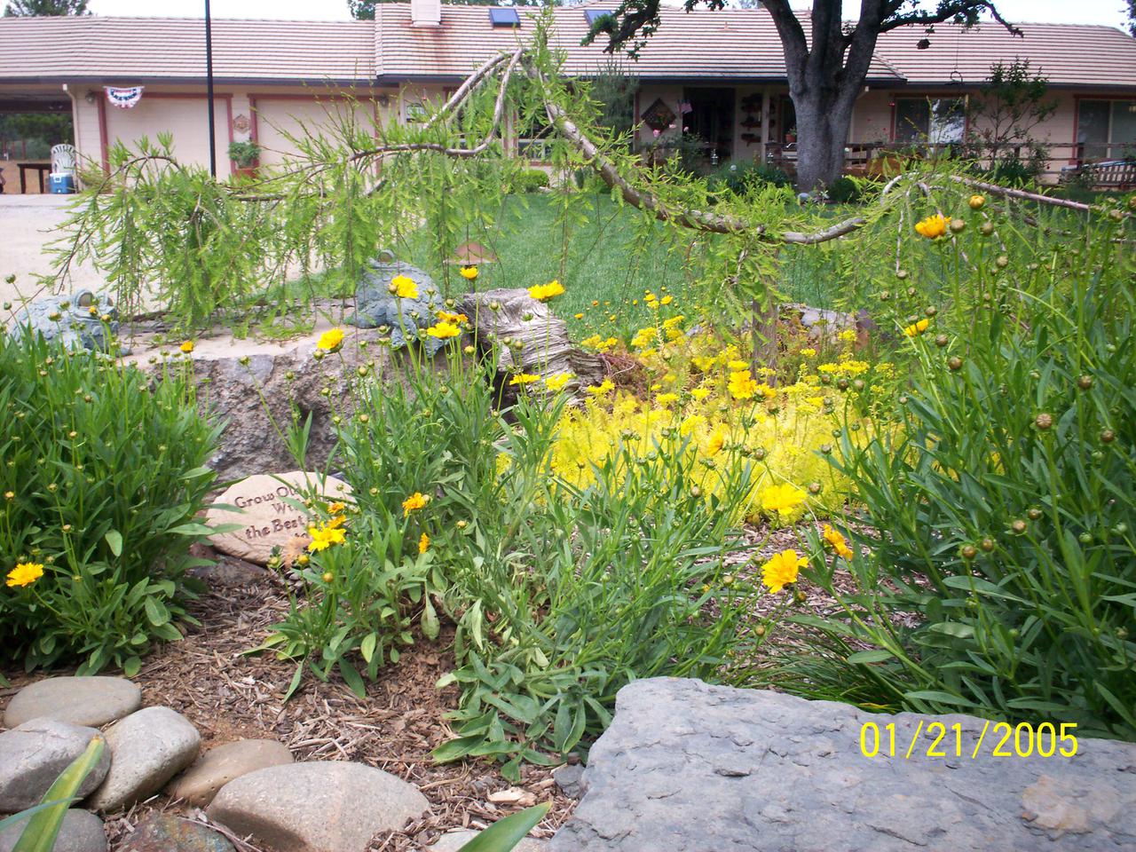 additional june 2001 pix 016.jpg