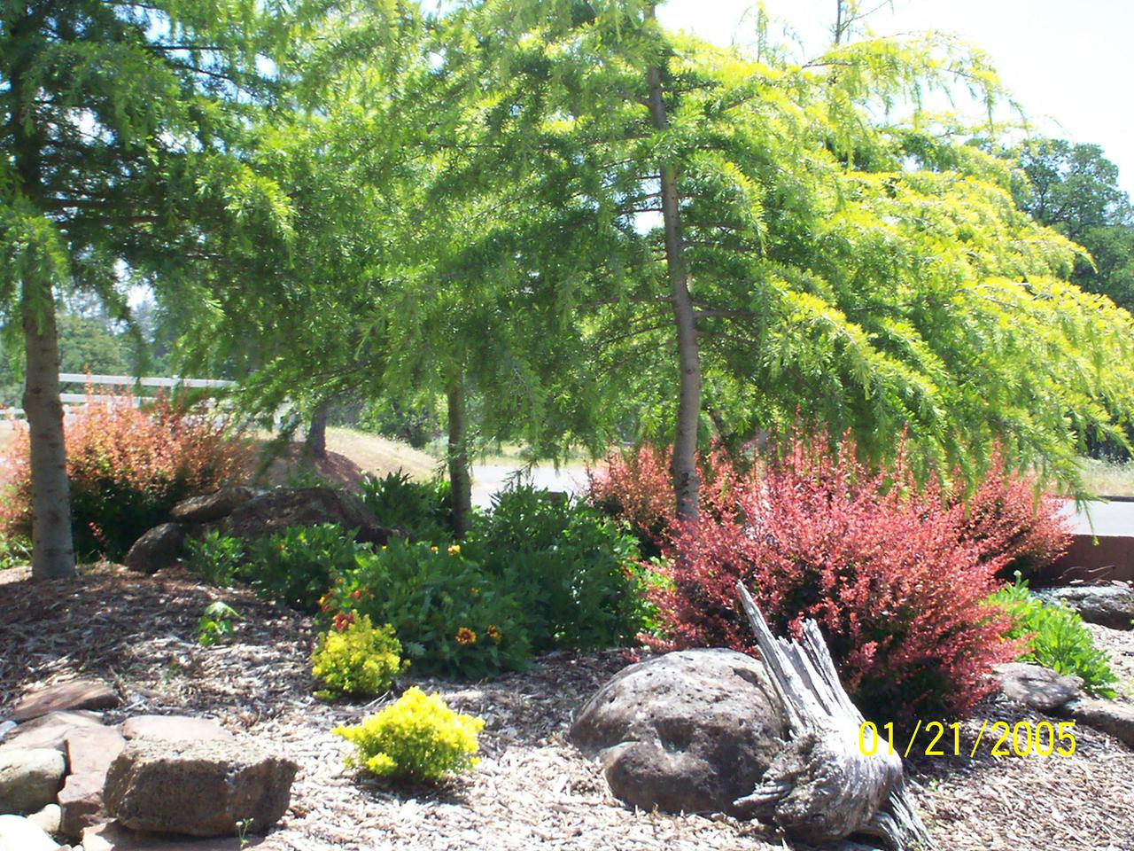 additional june 2001 pix 012.jpg