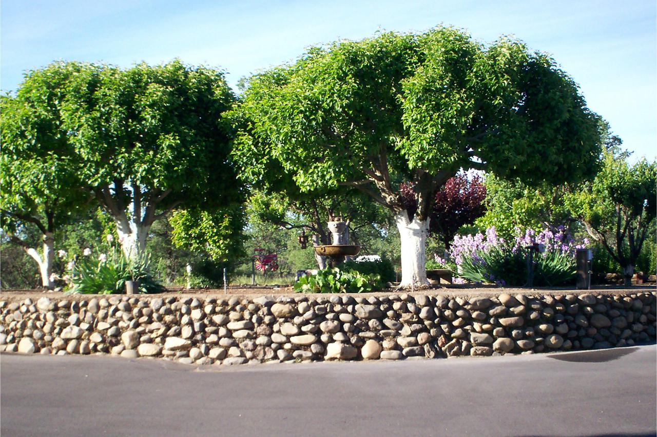 retaining walls and fences for privacy