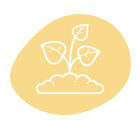 seasonal pruning maintenance program