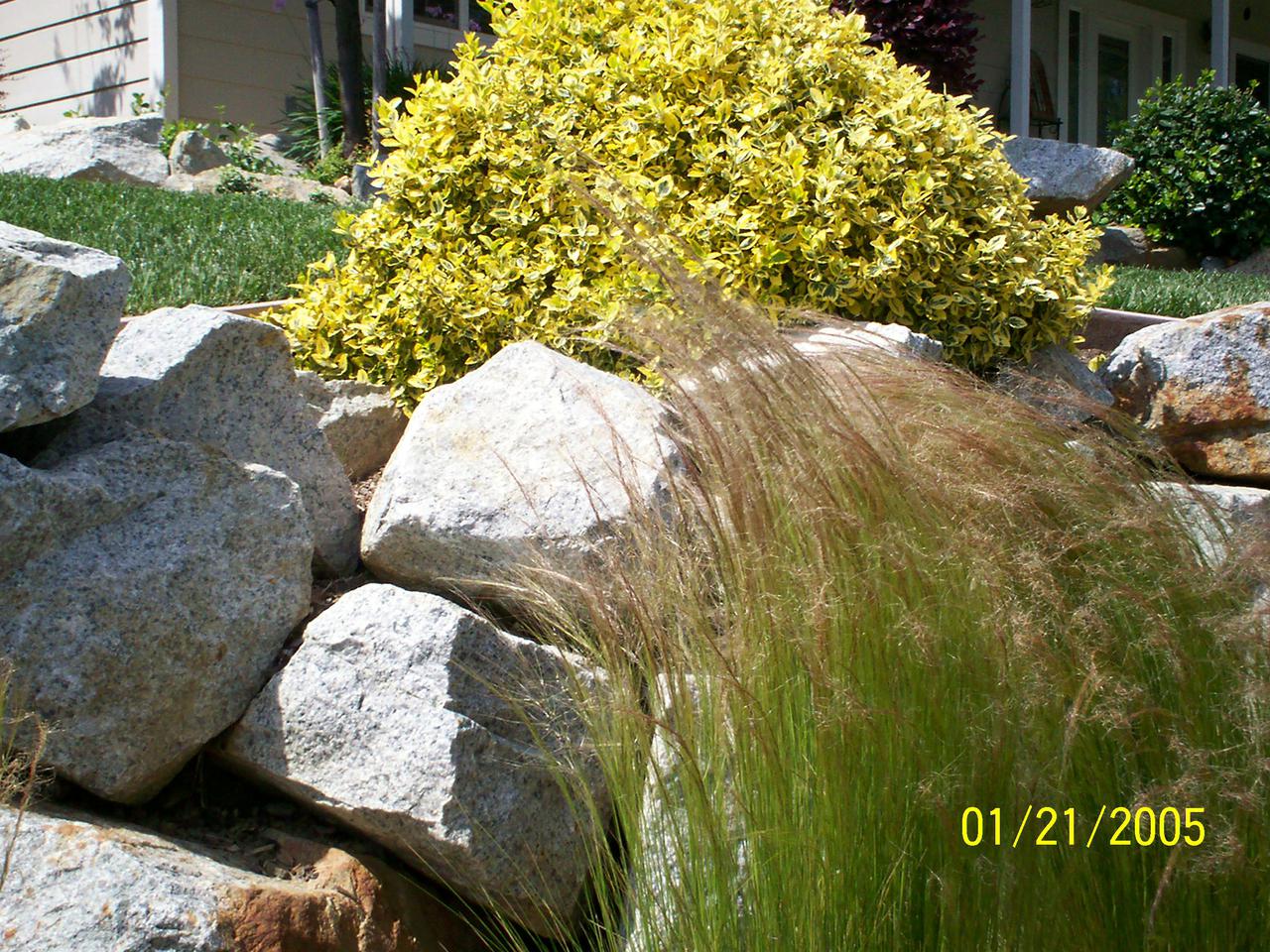 additional june 2001 pix 025.jpg