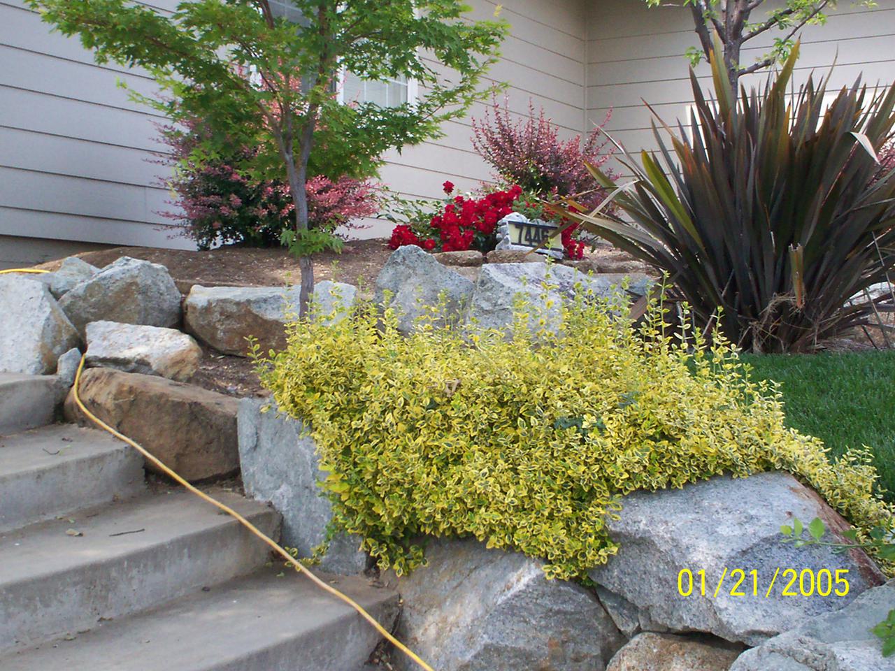 additional june 2001 pix 022.jpg