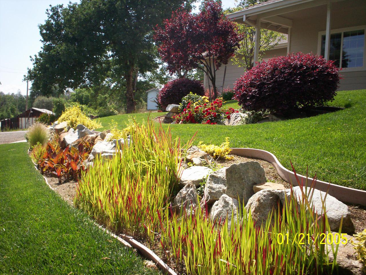 additional june 2001 pix 024.jpg