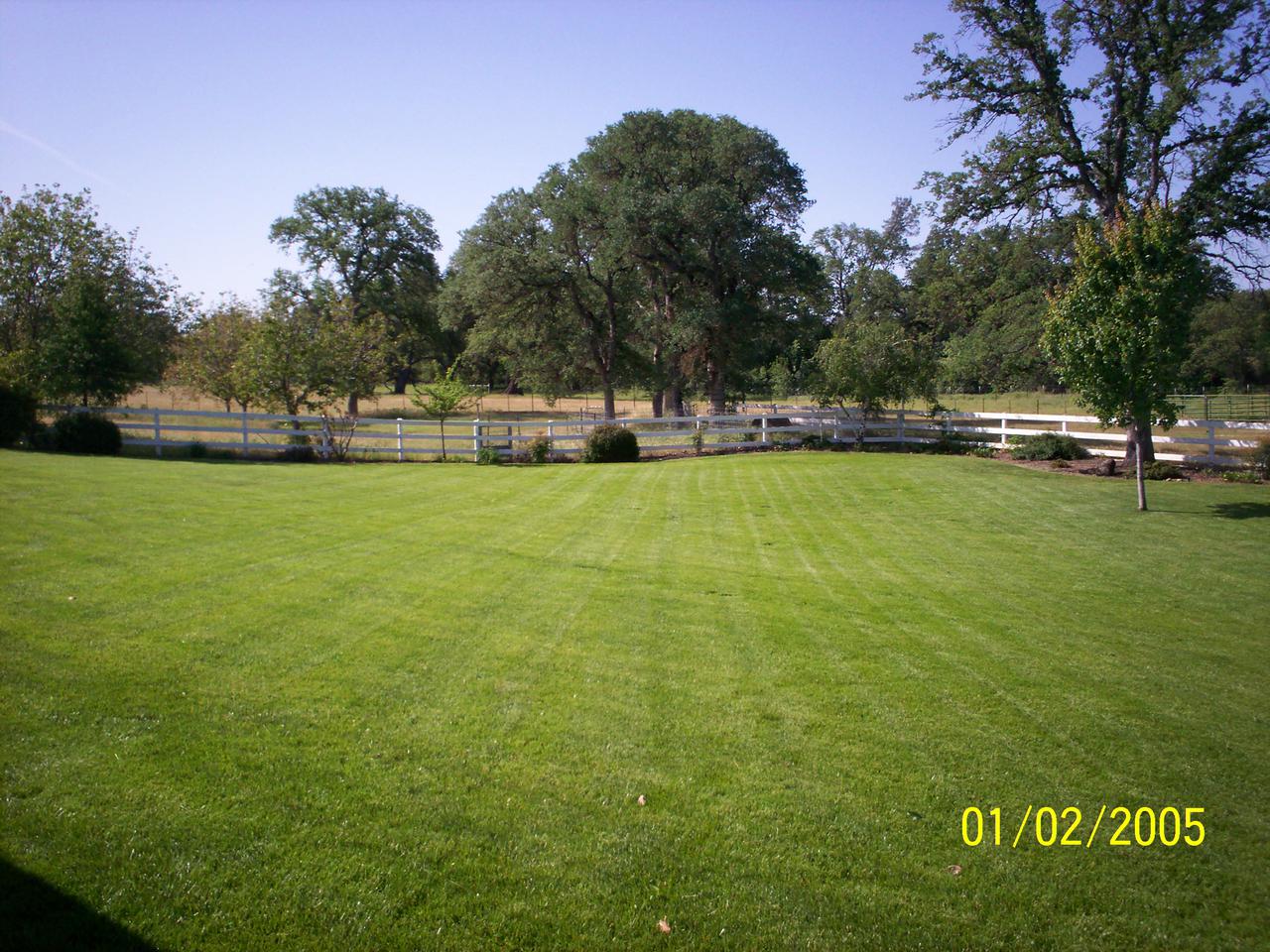 pix of accounts 043.jpg