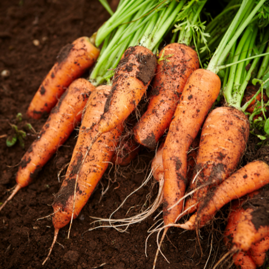 تصميم بدون عنوان (22).png