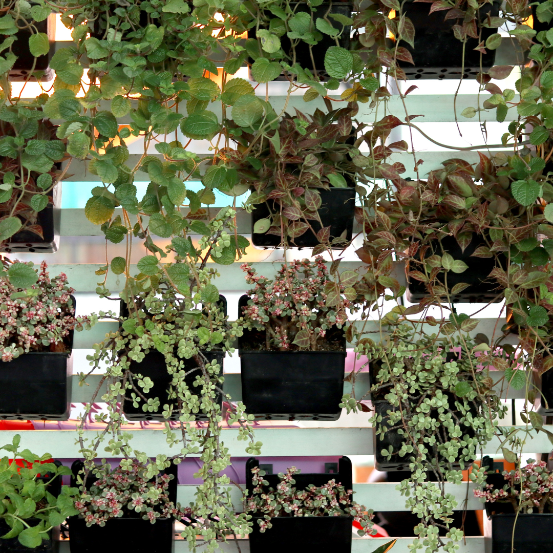 تصميم بدون عنوان (37).png