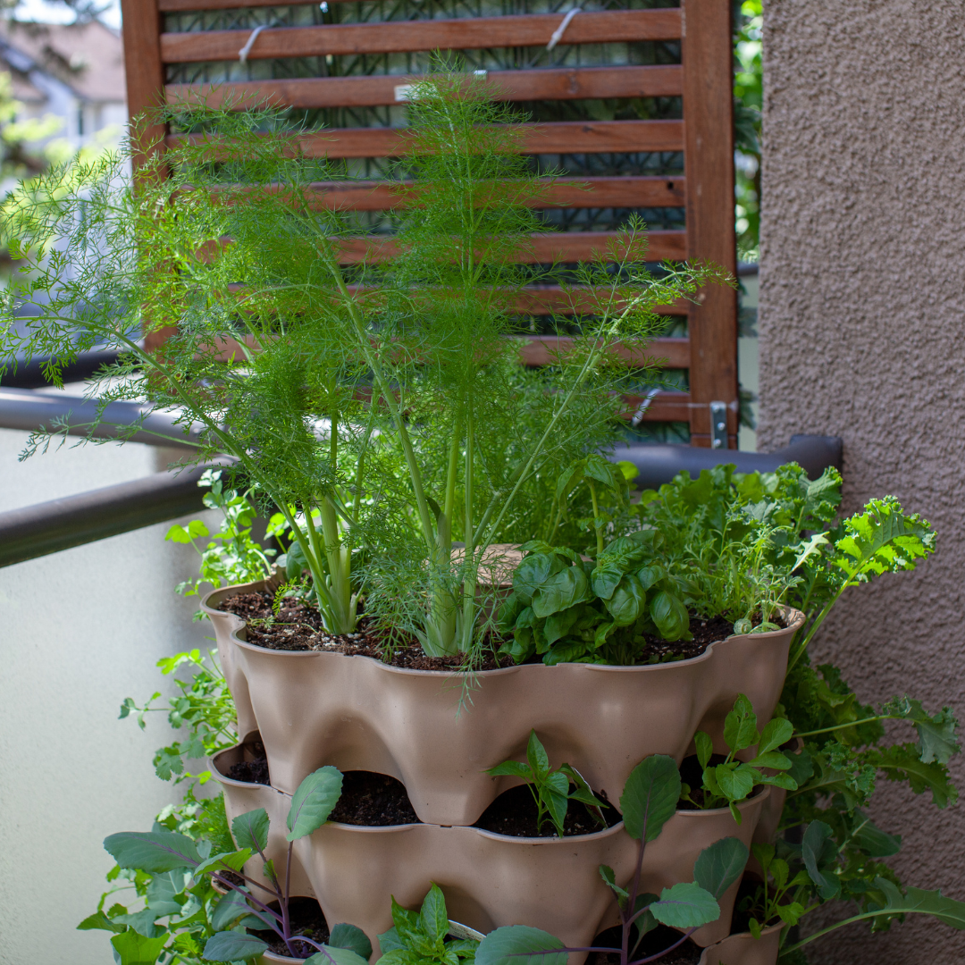 تصميم بدون عنوان (34).png