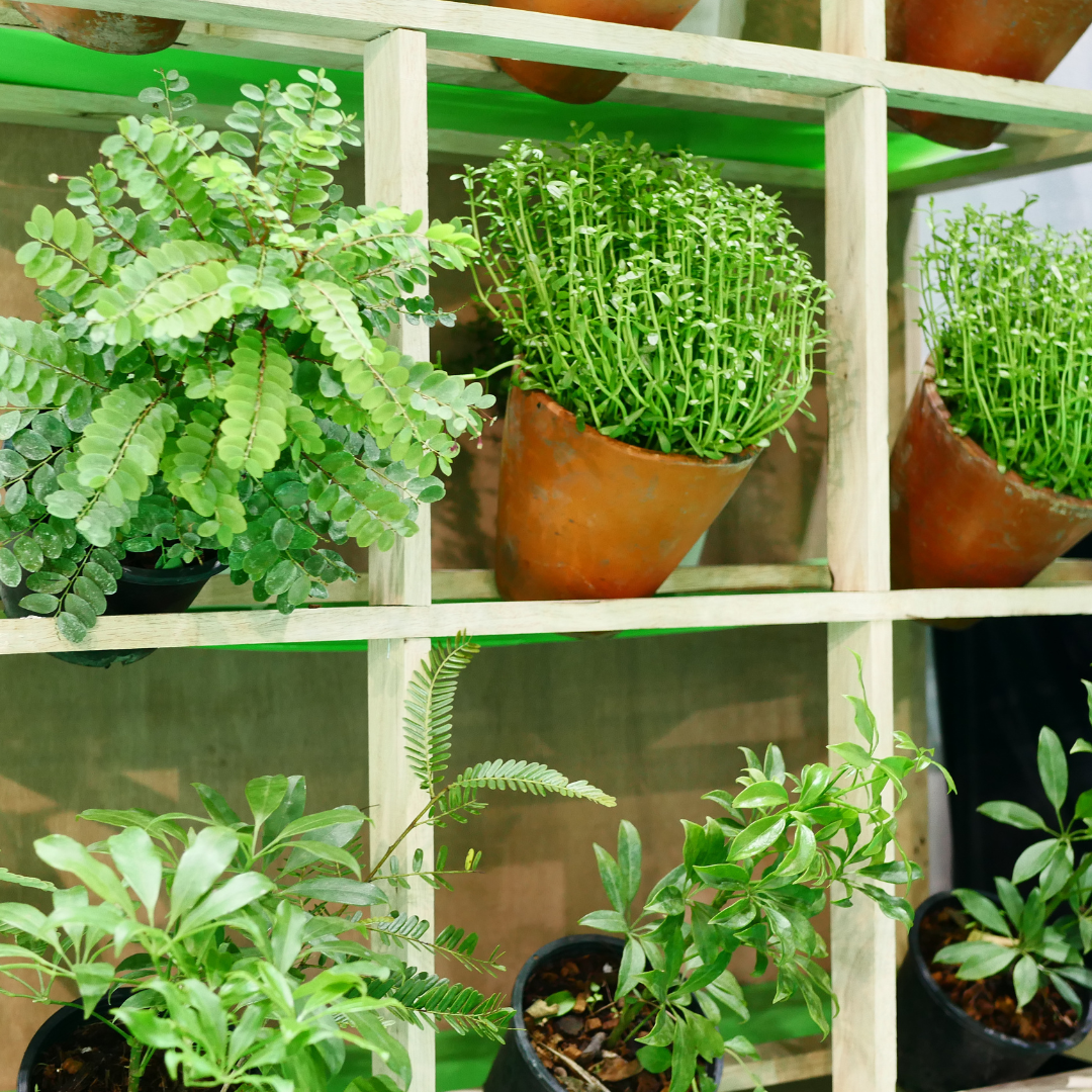 تصميم بدون عنوان (38).png