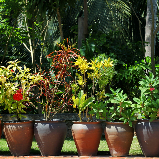 تصميم بدون عنوان (28).png