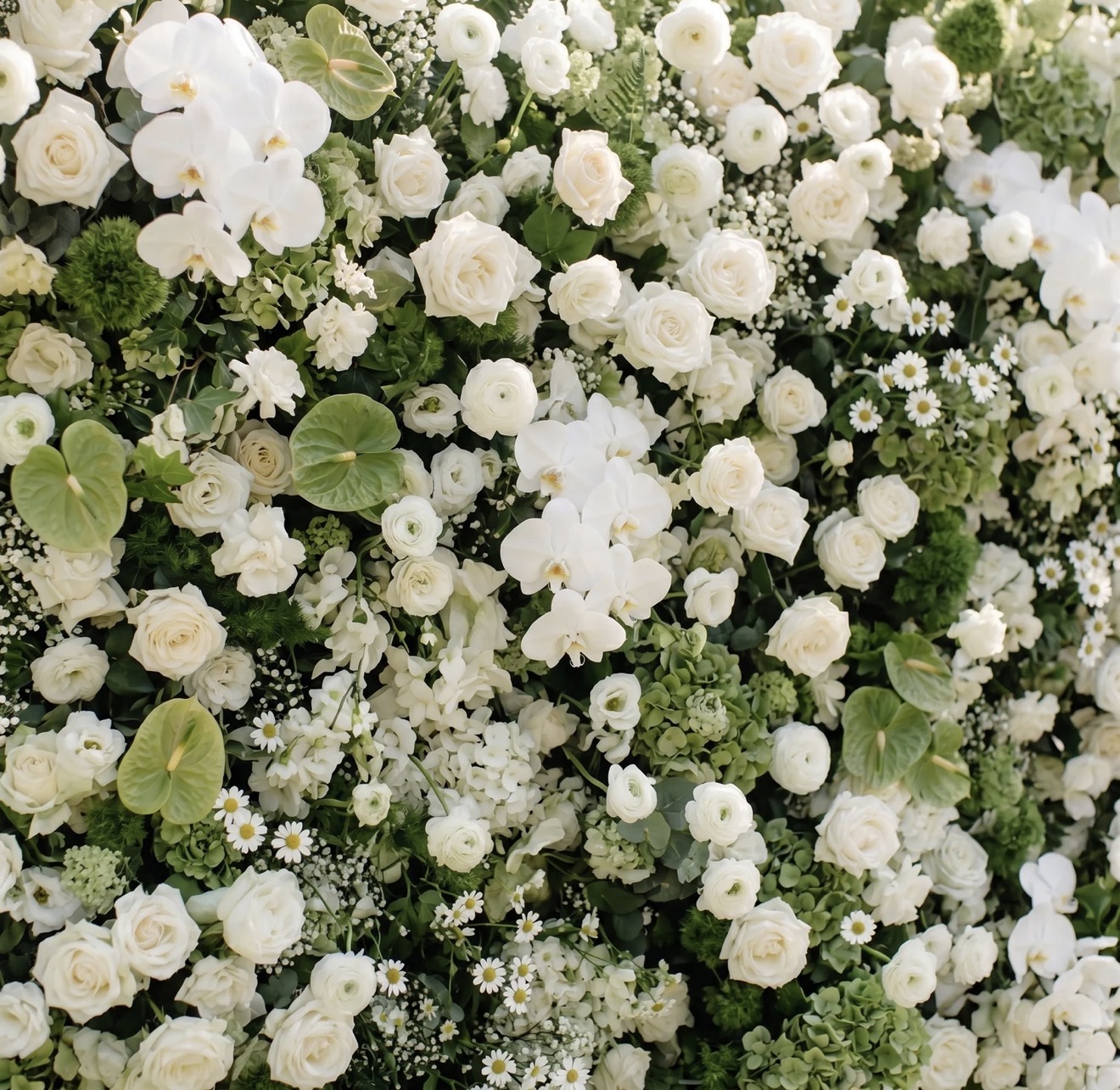 Luxury floral display
