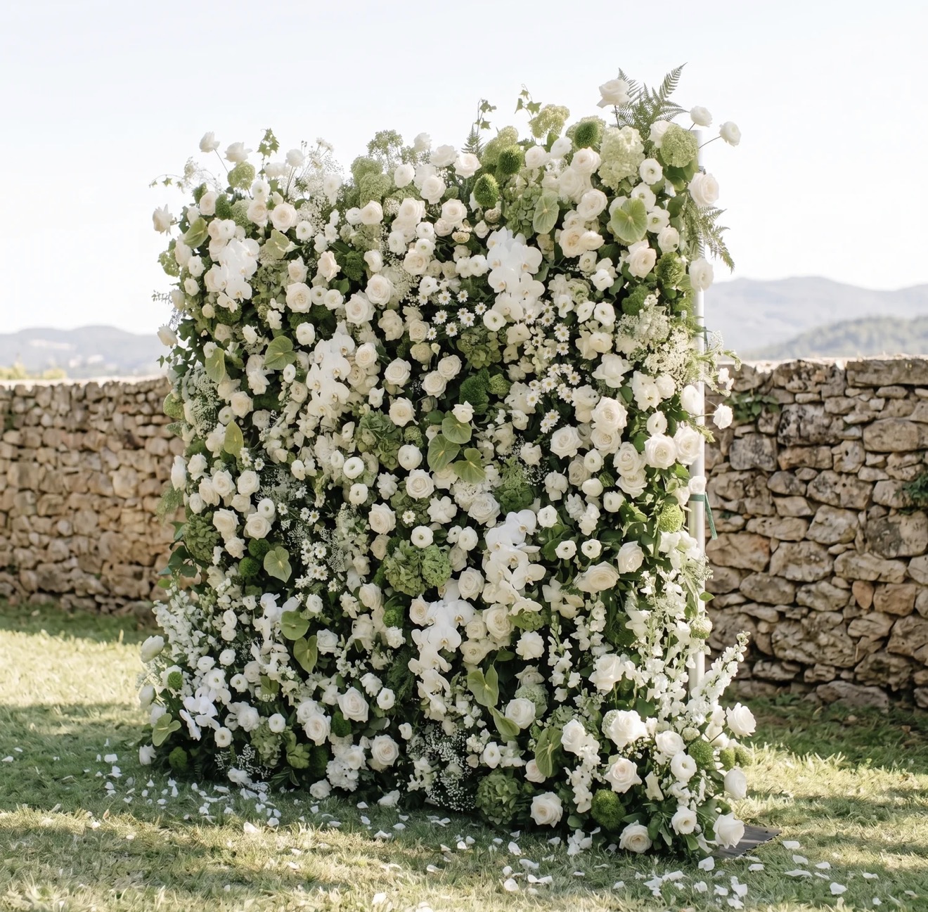 Ivory Vine premium installation