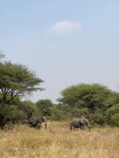 vid-20250530-wa0008.mp4