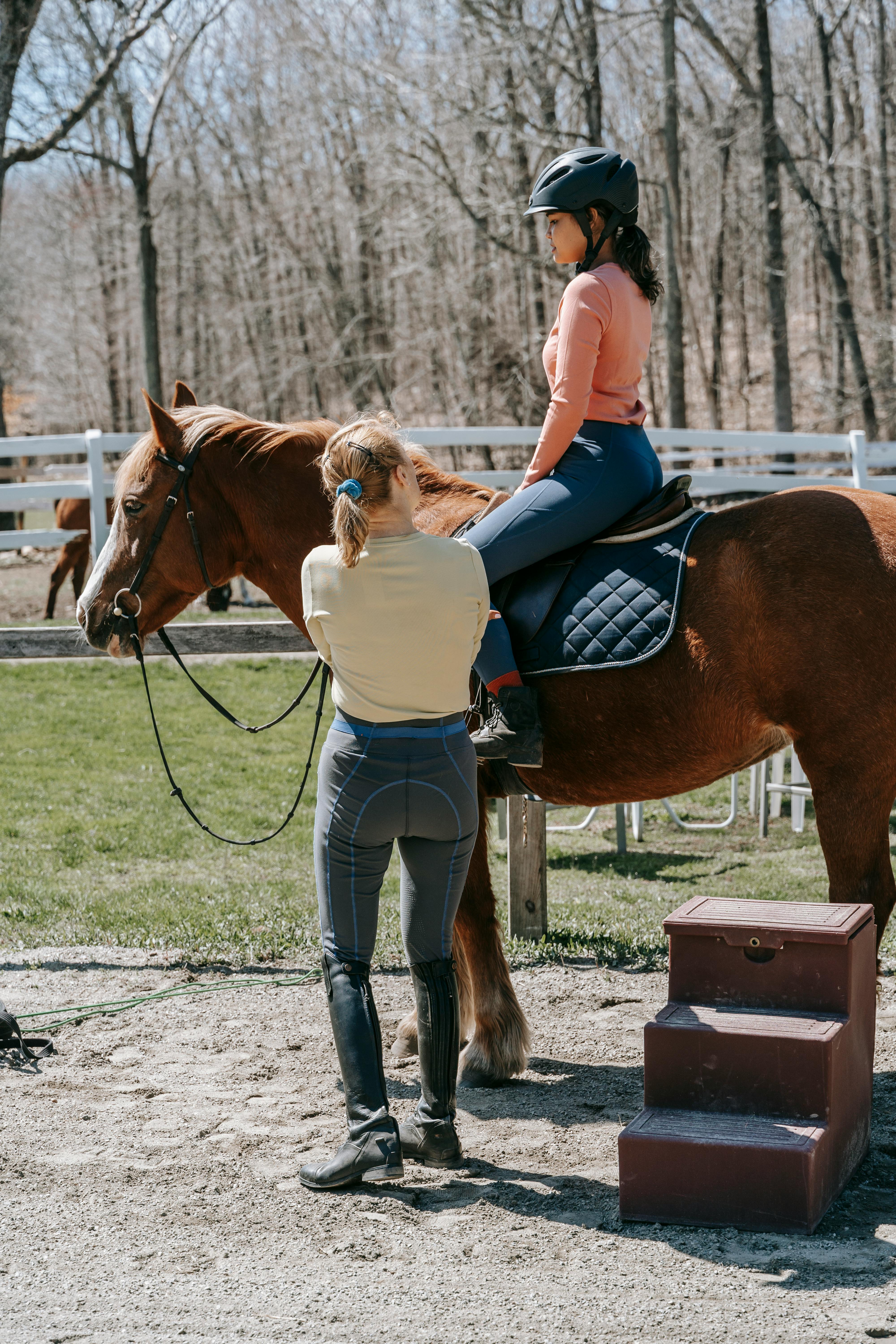 Horseback riding lessons and equine expertise