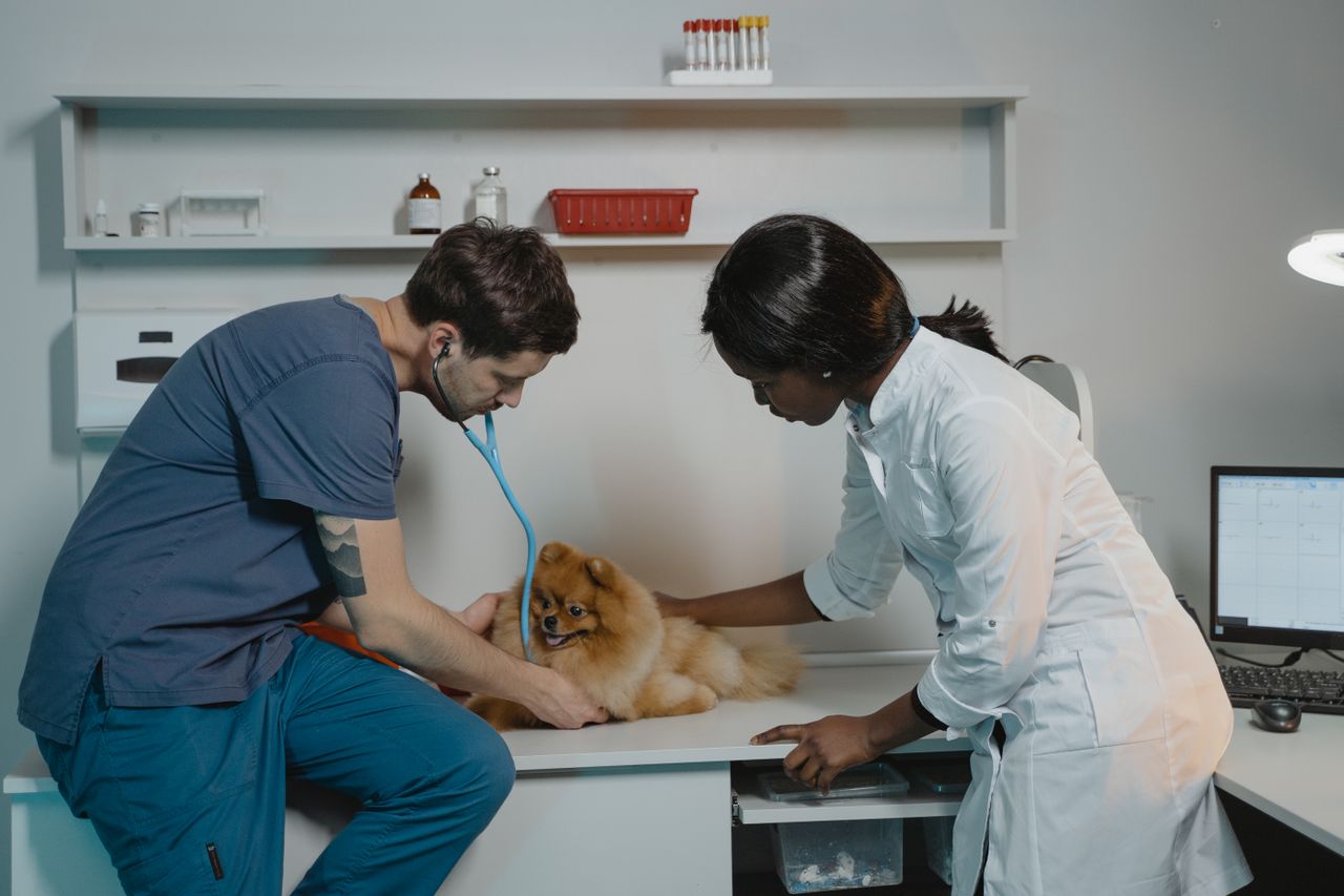 Veterinary Leadership