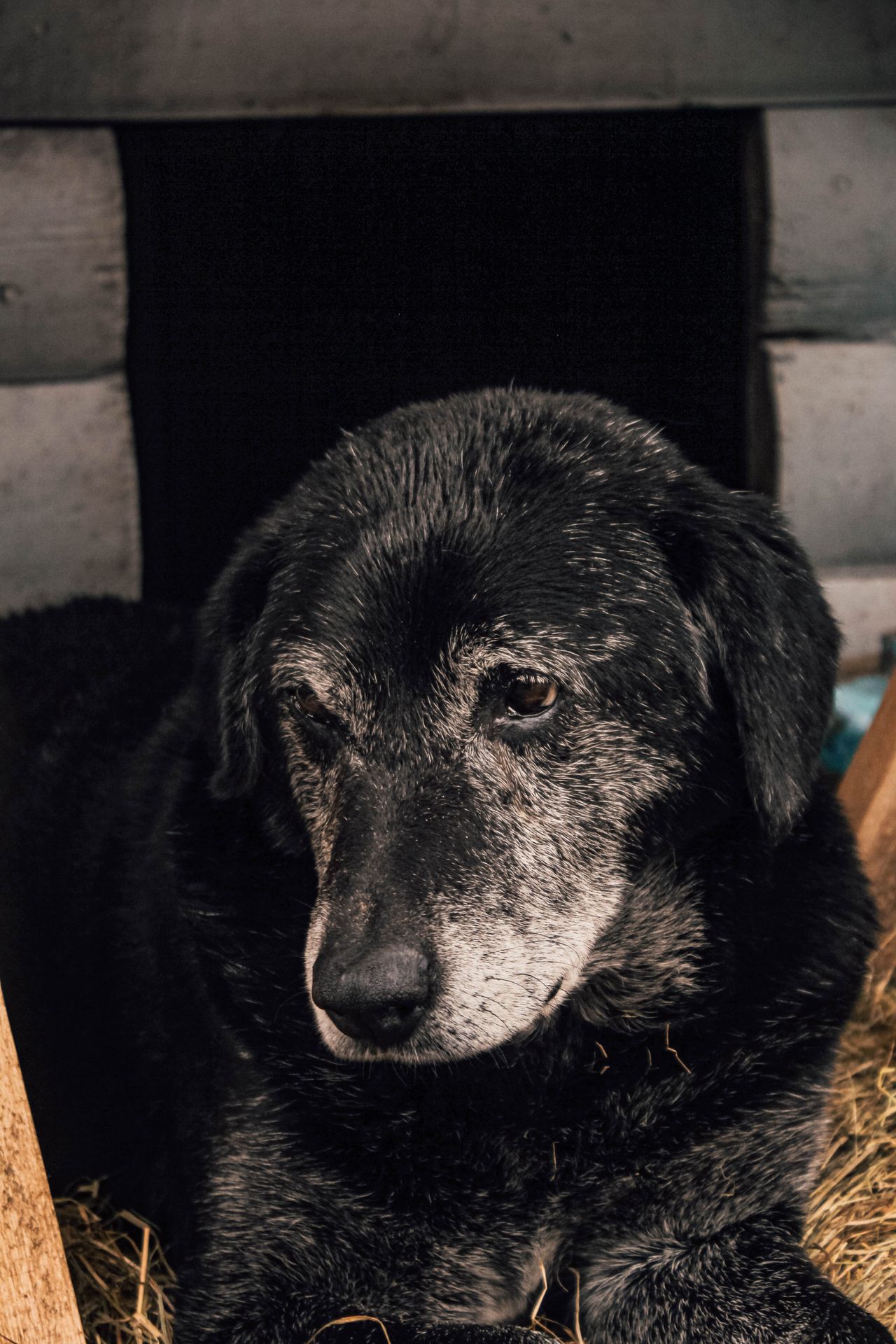 Max