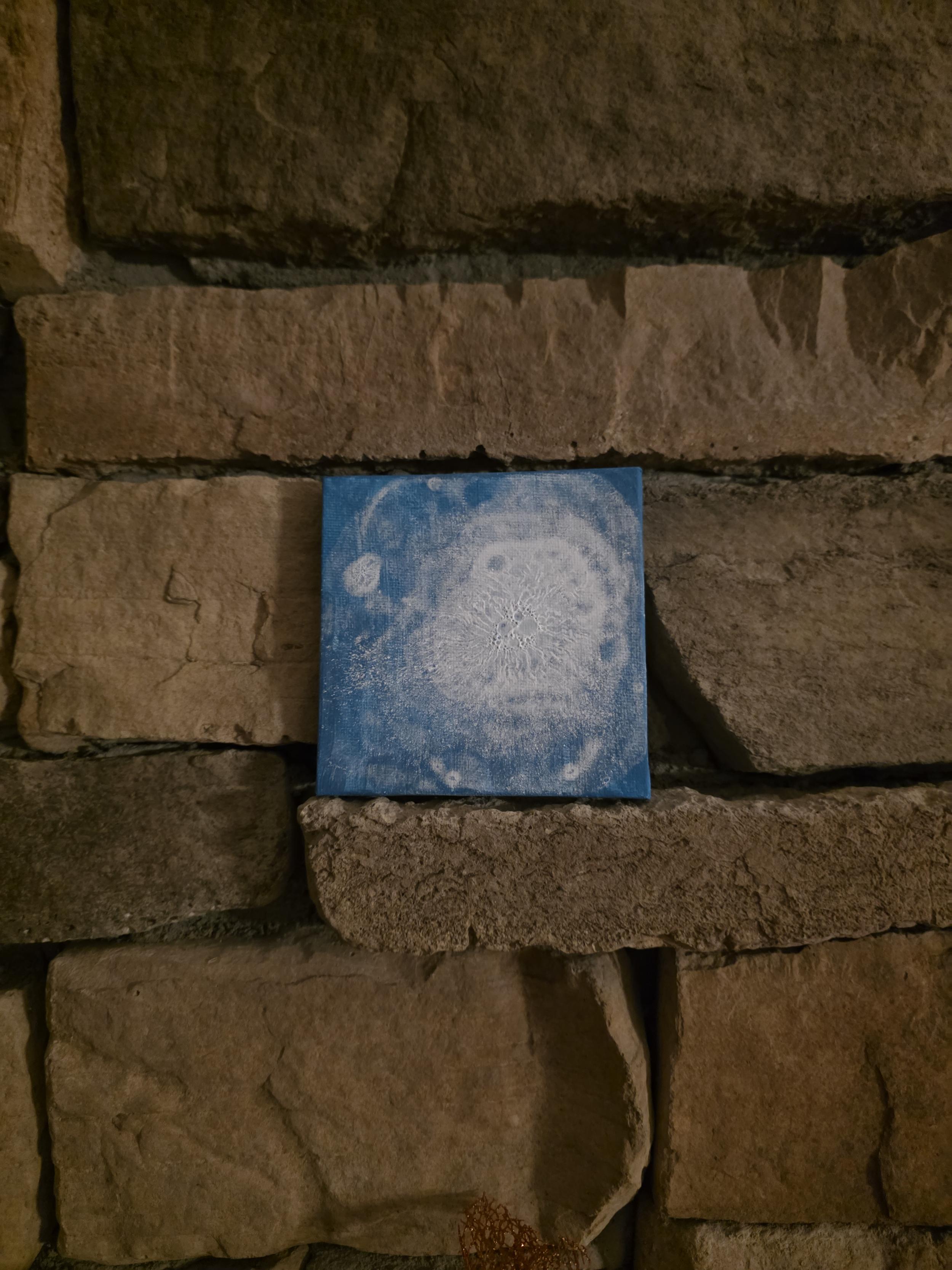20250909_205504.jpg