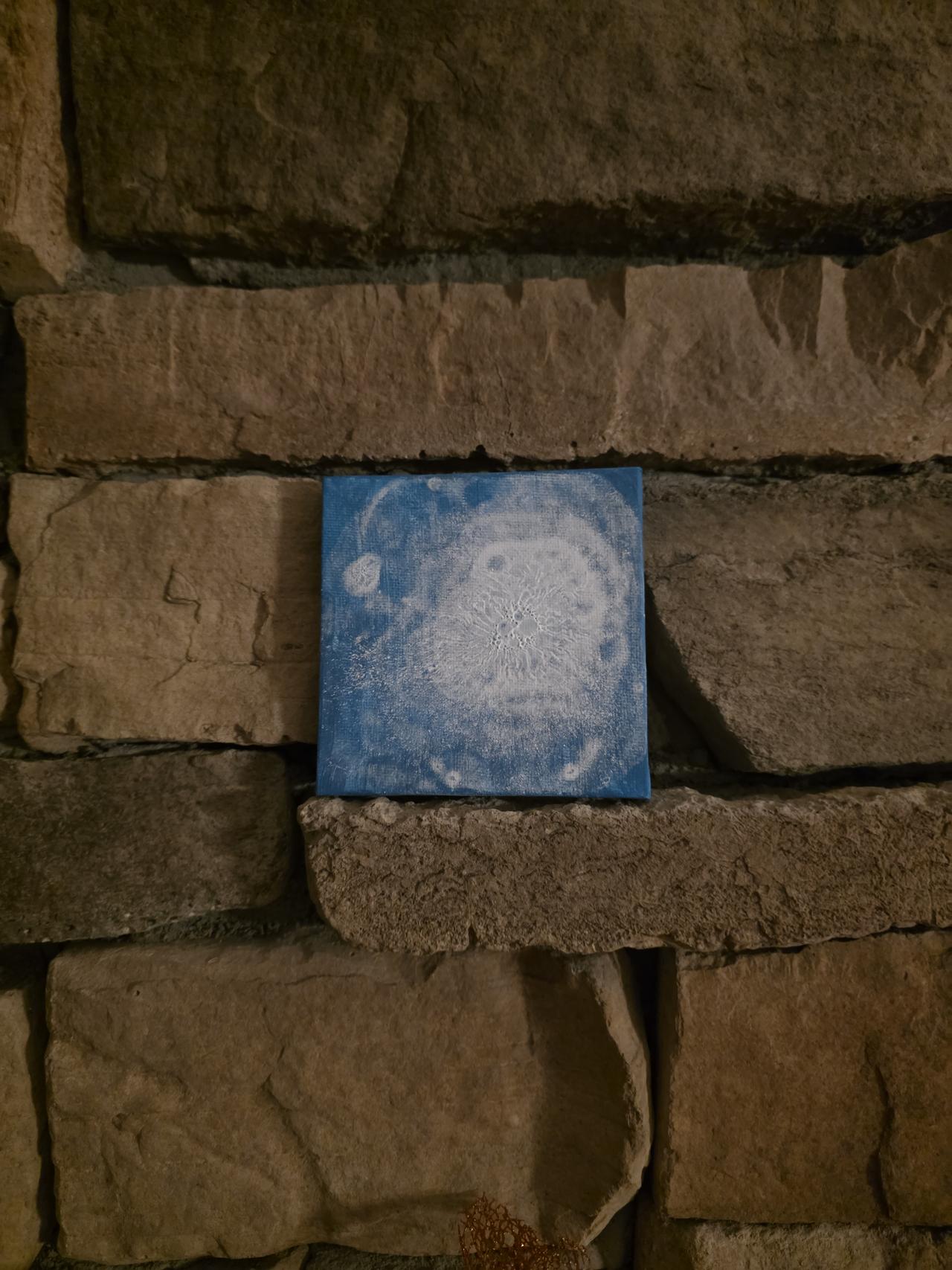 20250909_205504.jpg