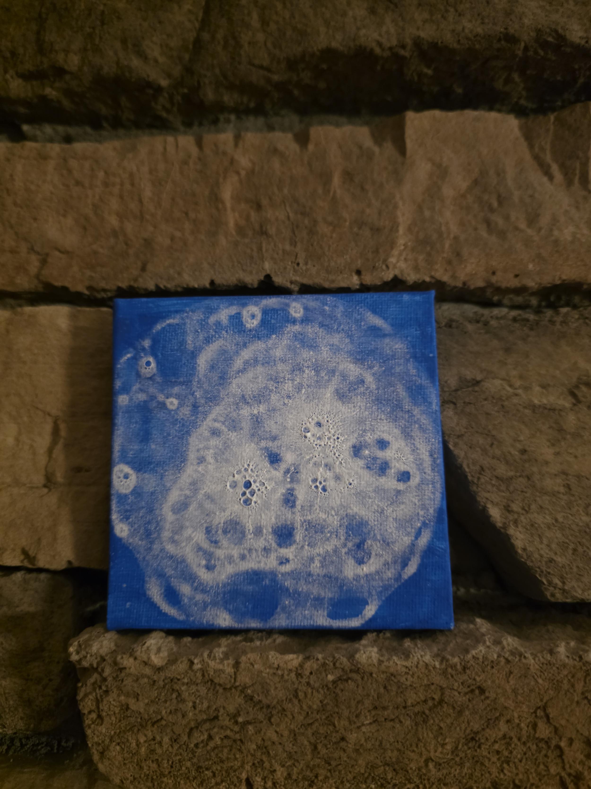 20250909_205438.jpg