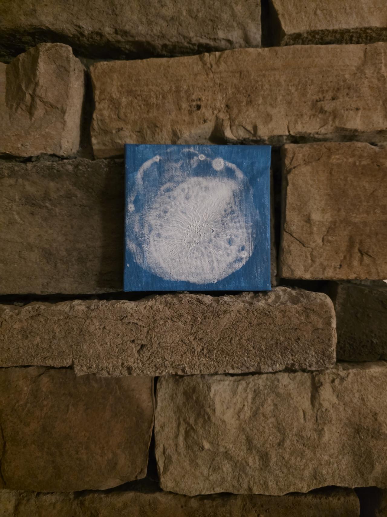 20250909_205532.jpg