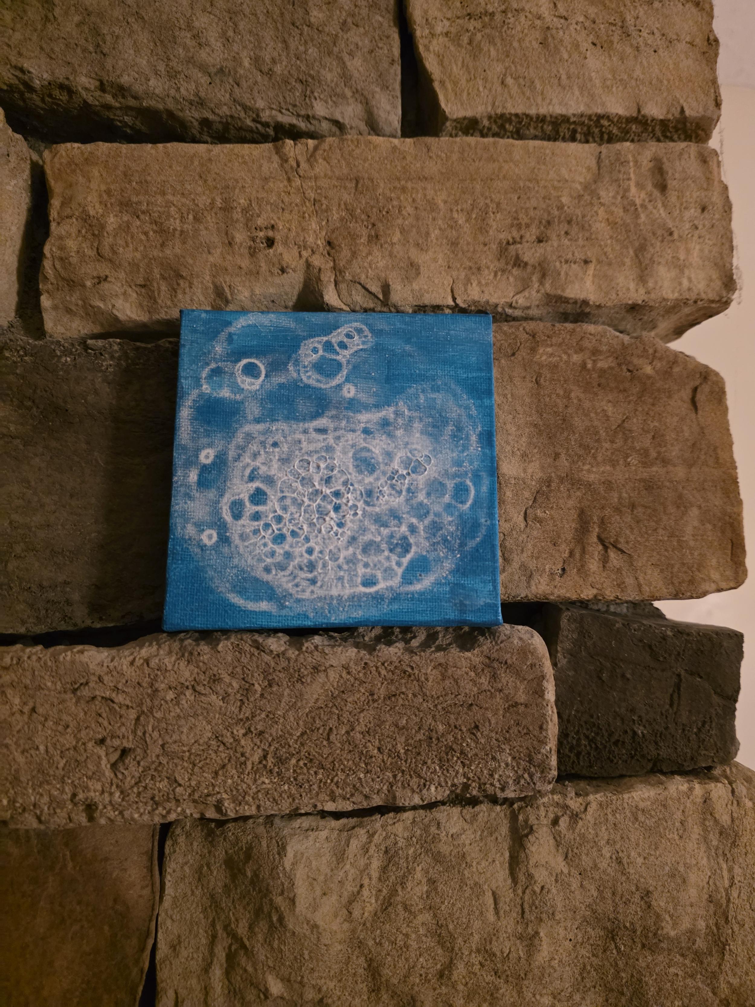 20250909_205558.jpg