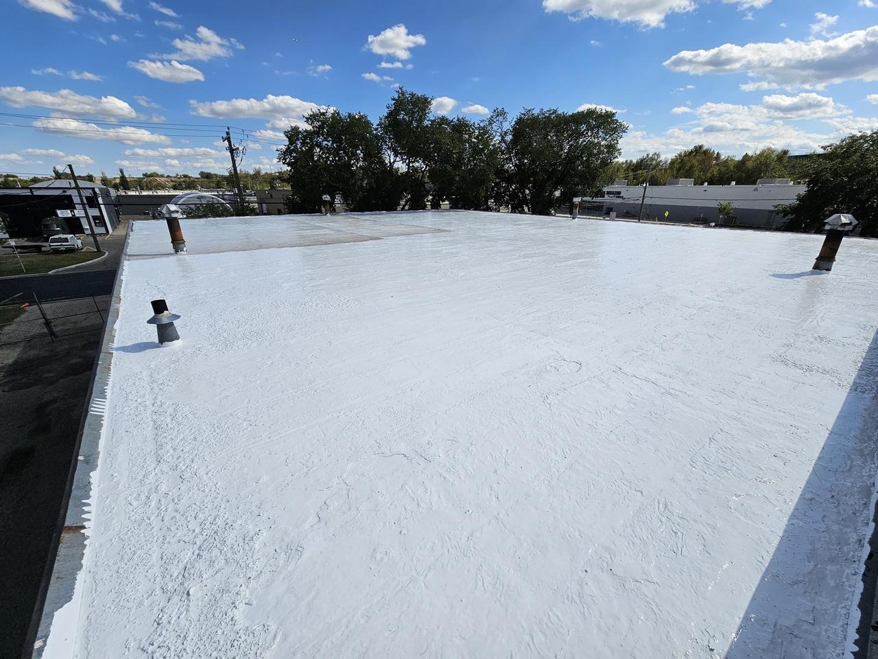 eef4a853-8362-11f0-af34-0242ac110002-fluidroof_after.jpg