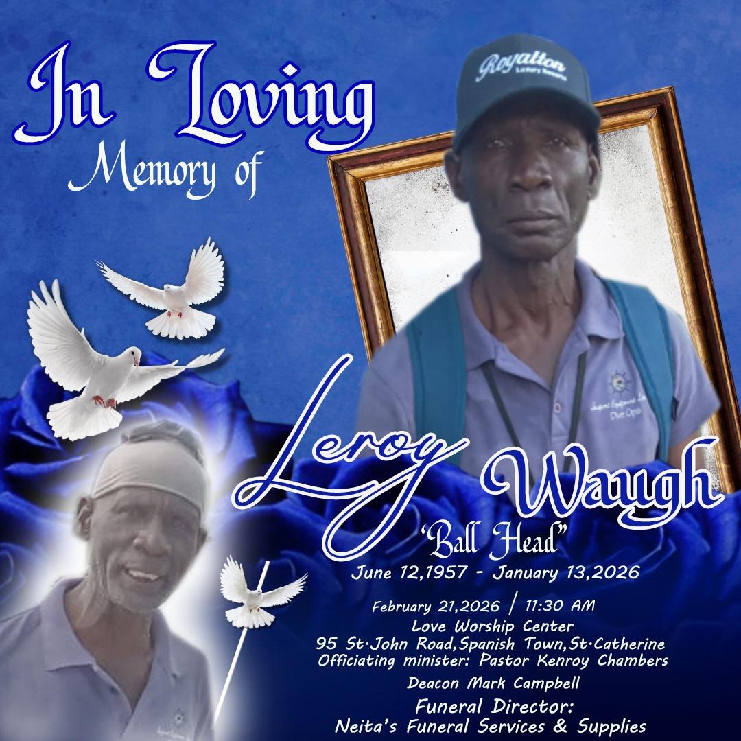 whatsapp image 2026-02-12 at 11.47.22 am.jpeg