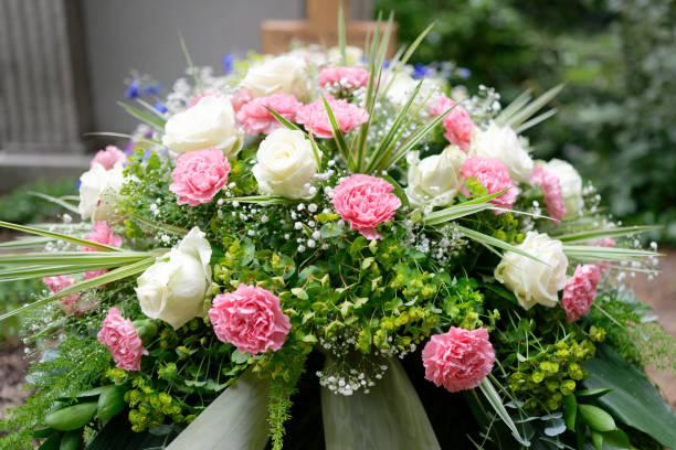 istockphoto-1402201539-612x612.jpg