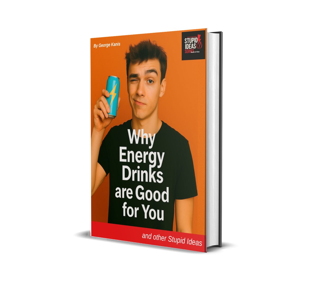 Stupid Ideas Book 2