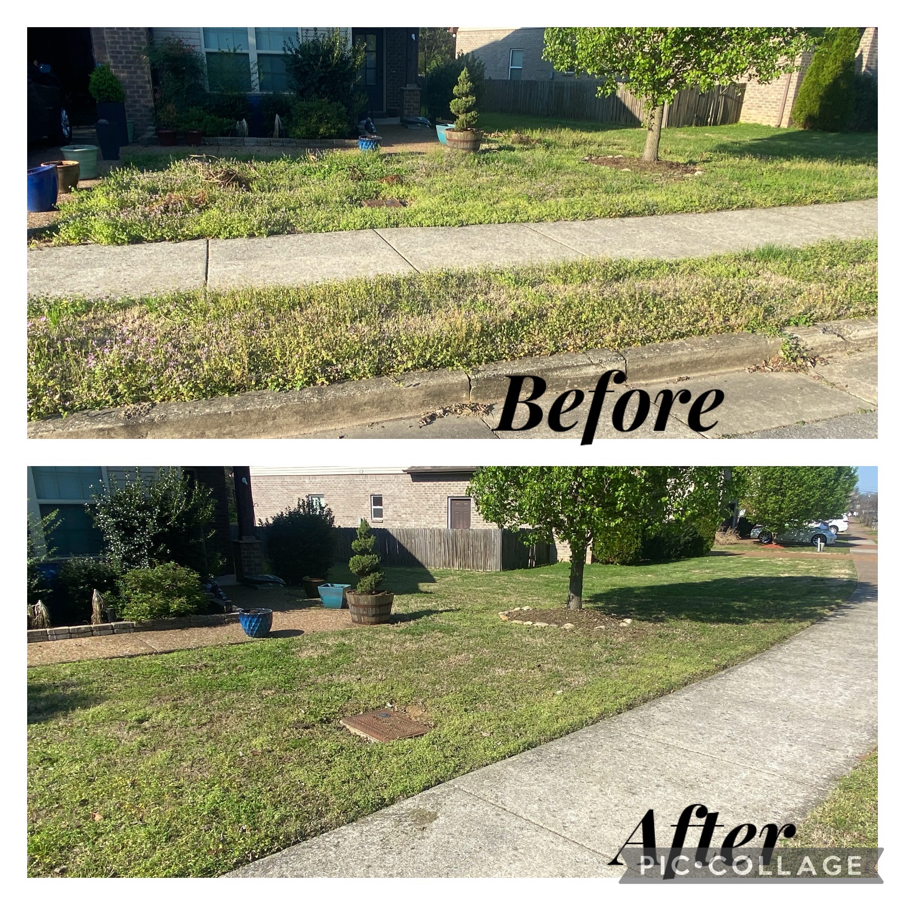 Landscaping project