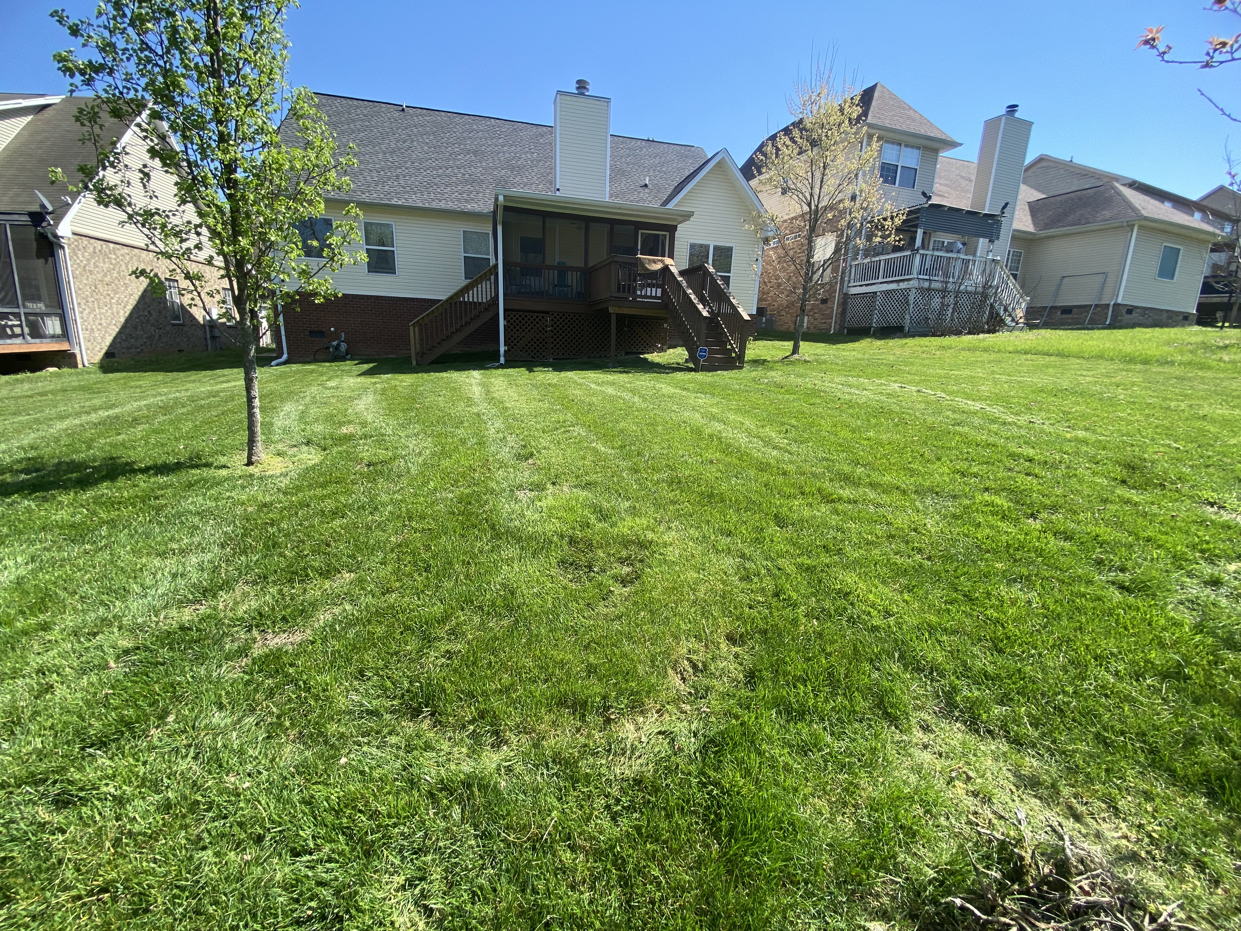 Landscaping project