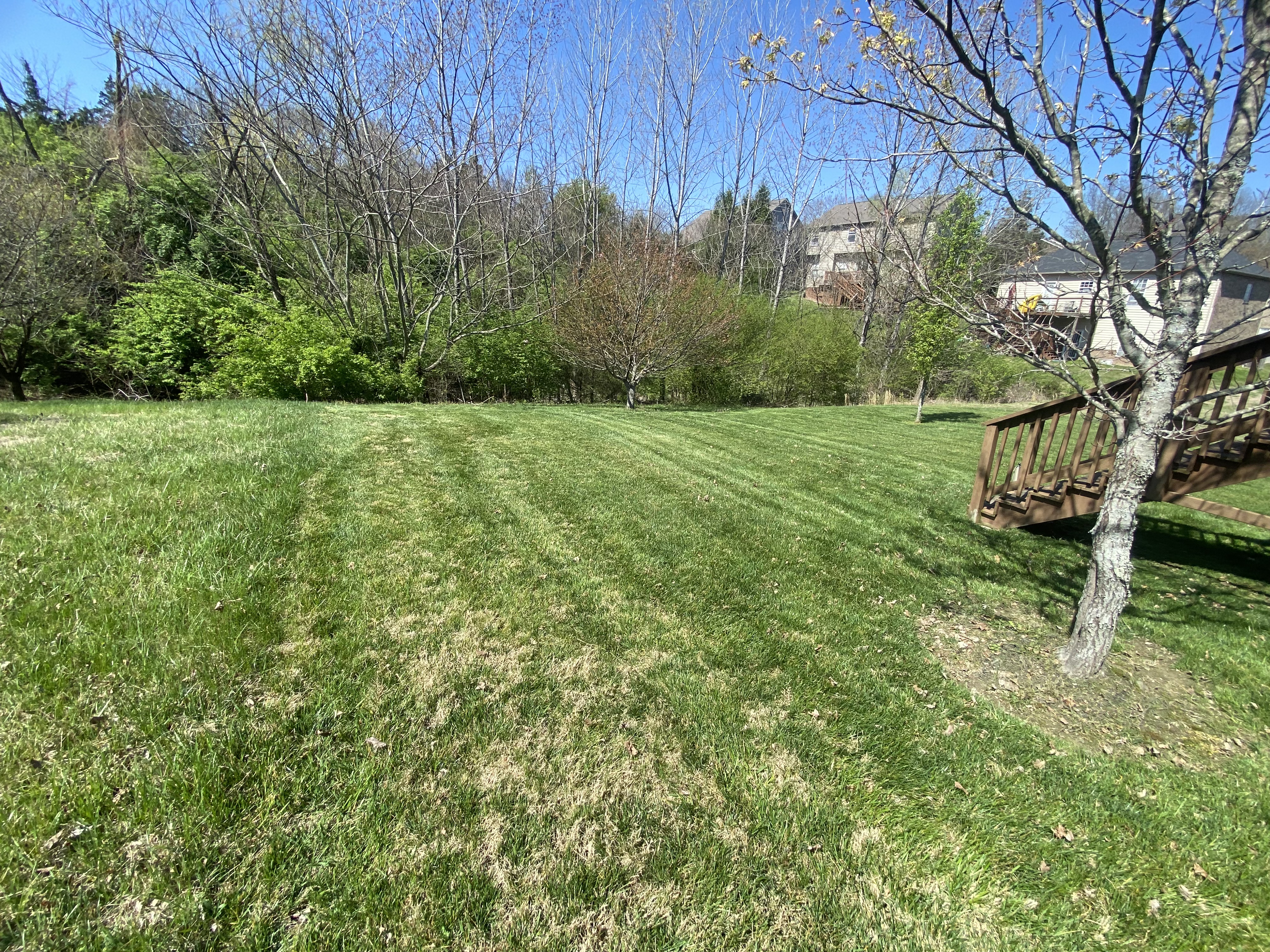 Landscaping project