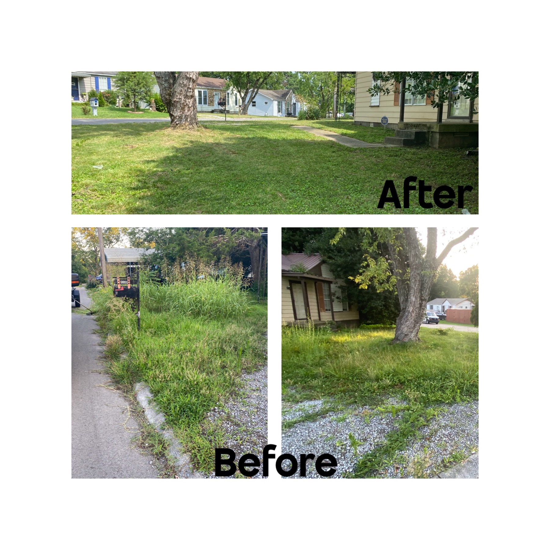 Landscaping project