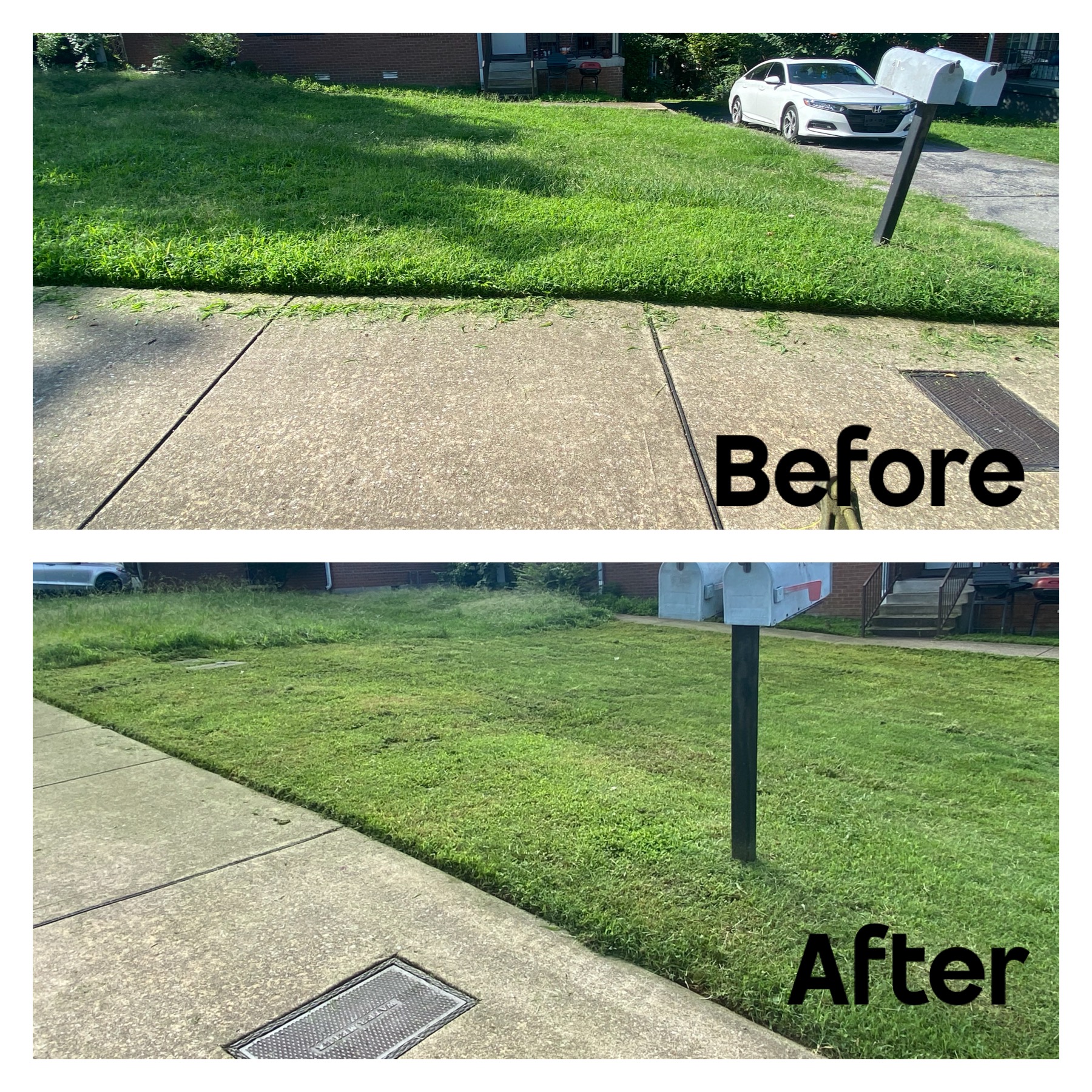 Landscaping project