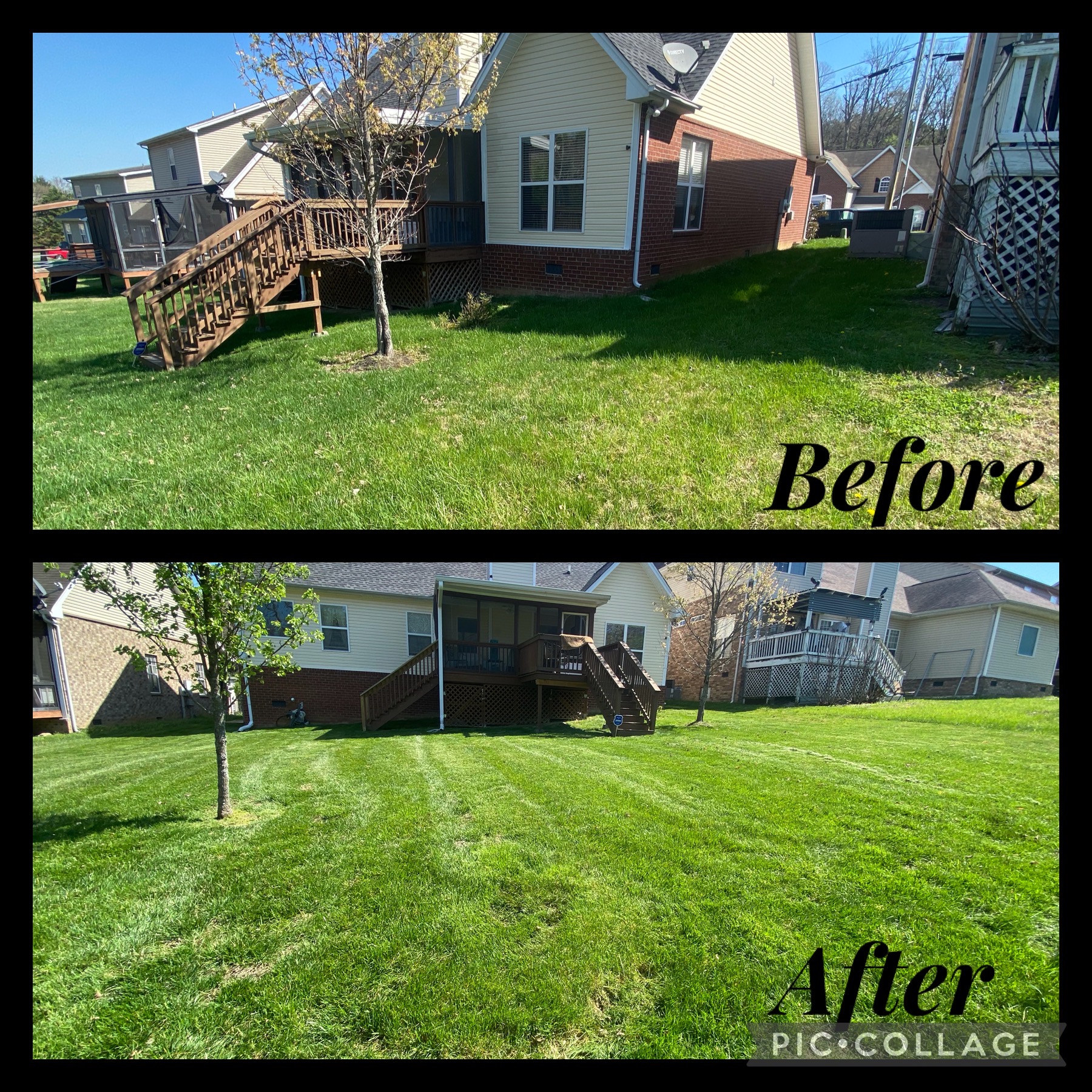 Lawn Mowing
