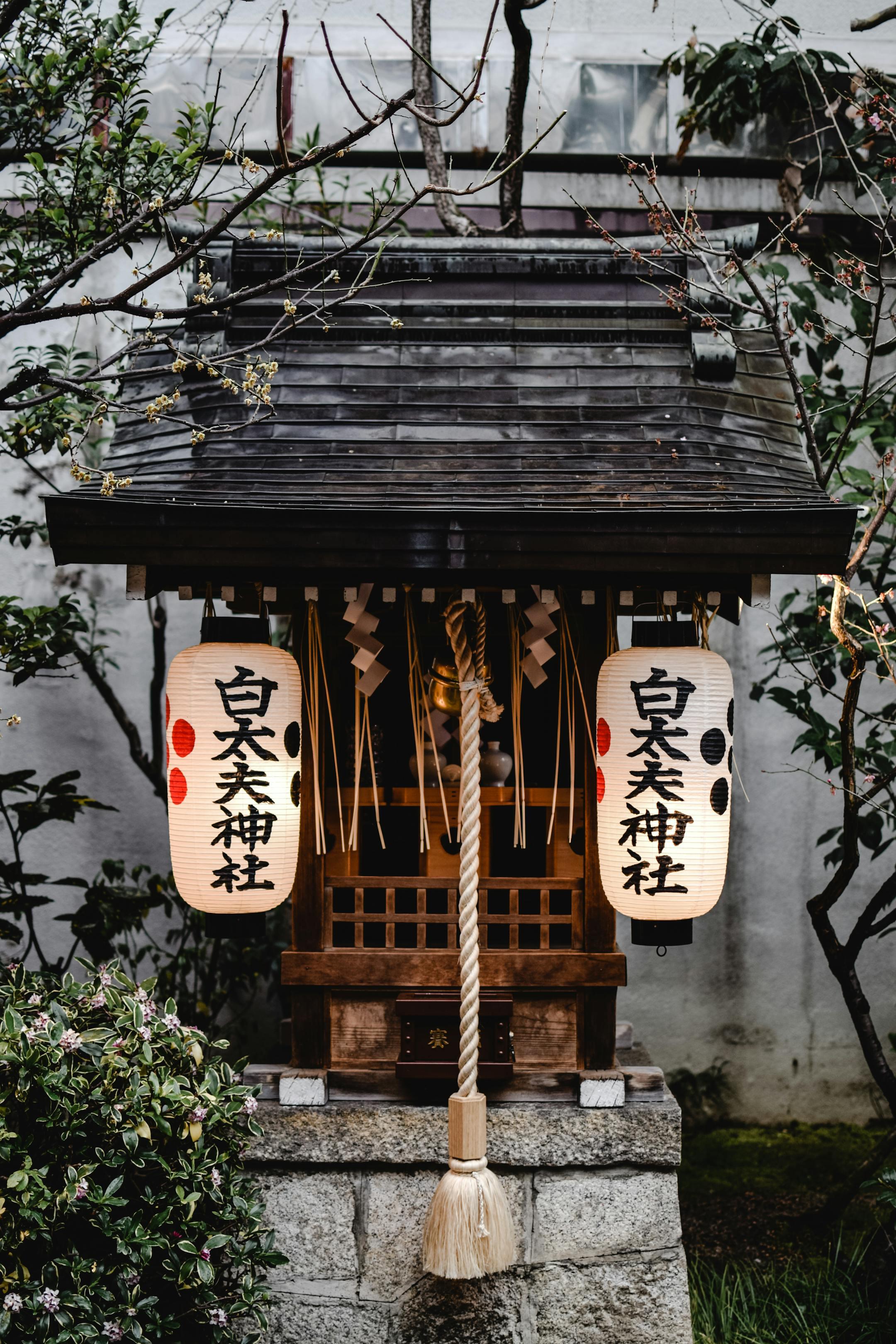 Beautifully lit Shinto shrine lanterns with rope detail, set in a serene Tokyo garden.