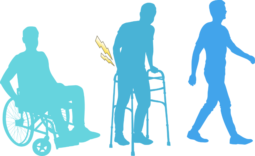 exploring the far-reaching impact of spinal injuries on nerves below the affected level.png