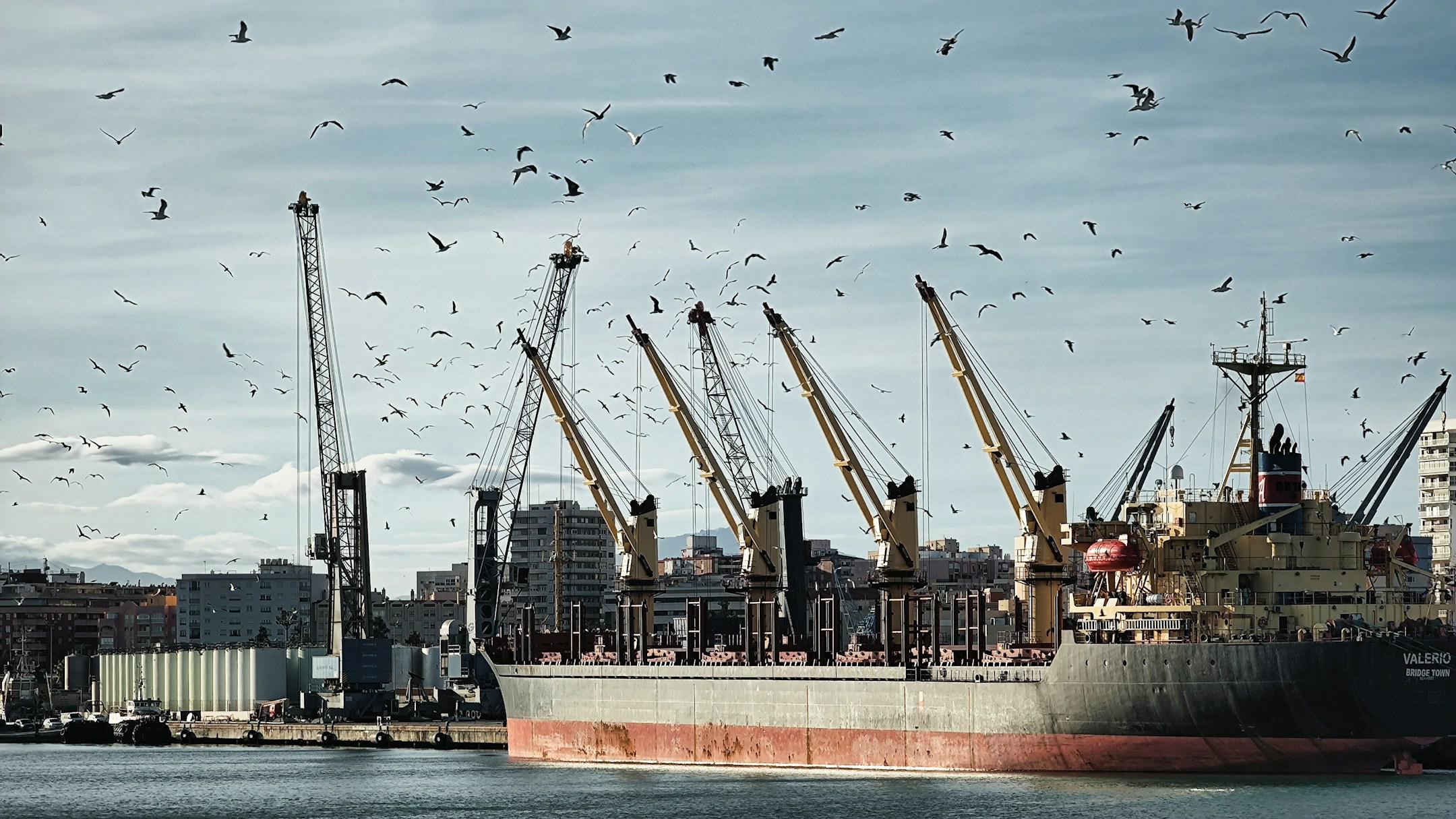 tanker ship loaded with grain graces the port, accompanied by seagulls soaring beneath. Witness the harmonious dance of industry and nature in this captivating scene, capturing the essence of shipping and the coastal environment