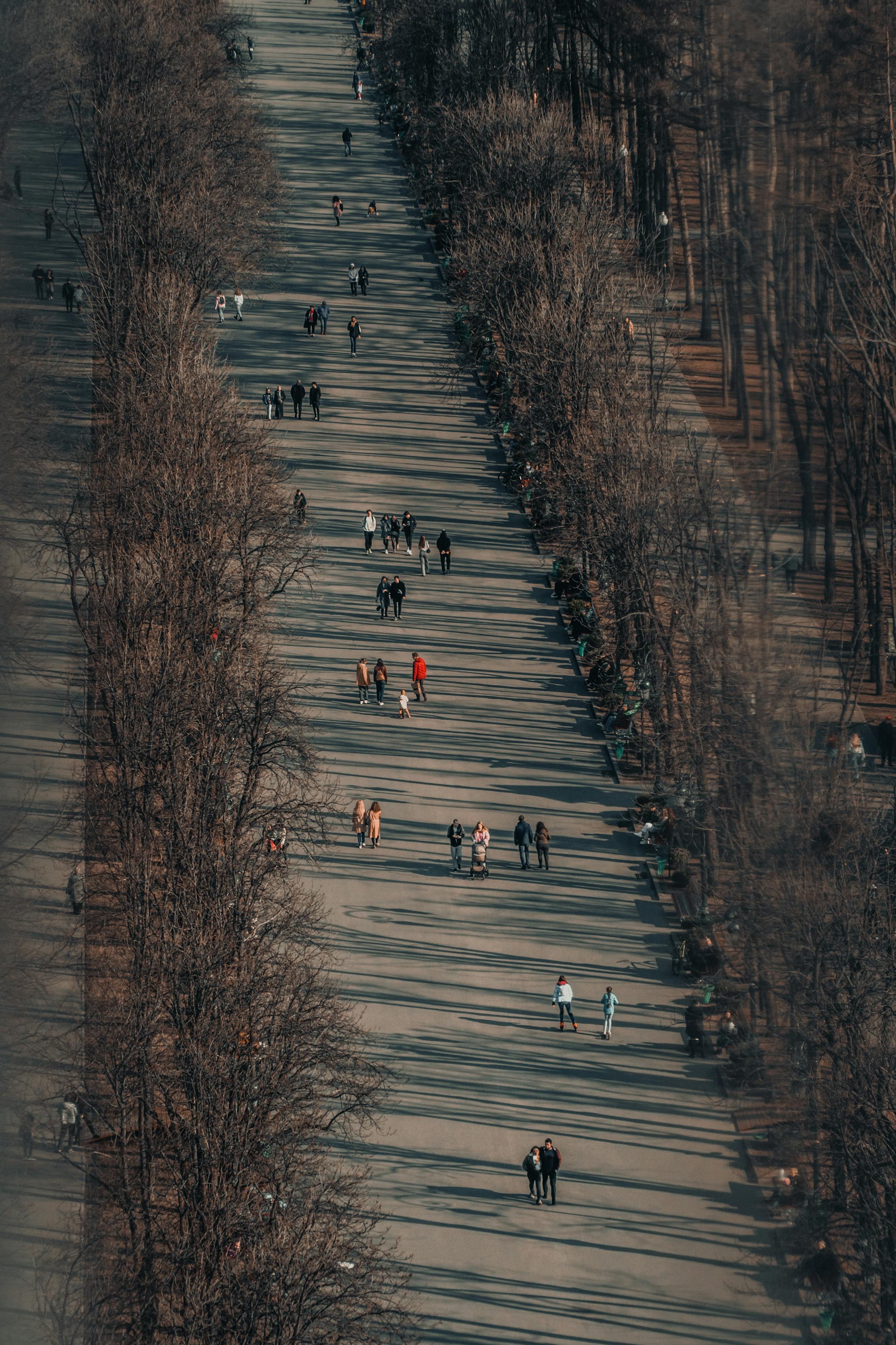 Bird’s-eye view of people walking along a park path lined with bare trees on a clear day, symbolizing the diverse individuals who benefit from Cognitive Analytica’s affordable therapy services in Lebanon.