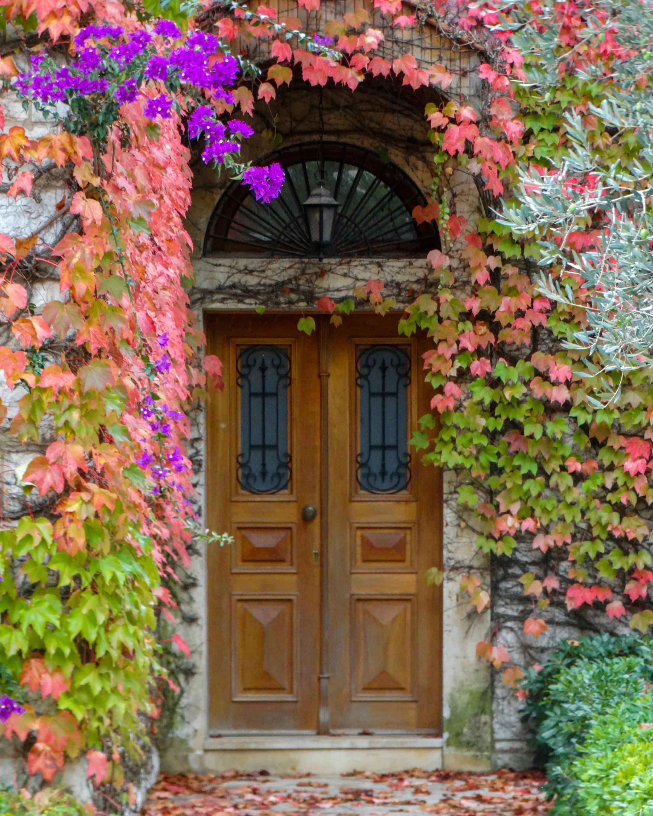 Traditional Lebanese stone home entrance with colorful vines, symbolizing culturally aware online therapy by Cognitive Analytica.