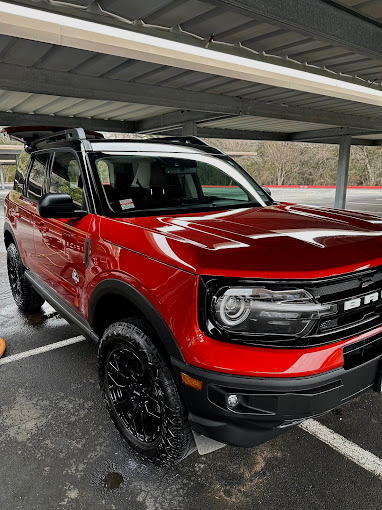 red_bronco_merle_outside-1739936582279.jpg