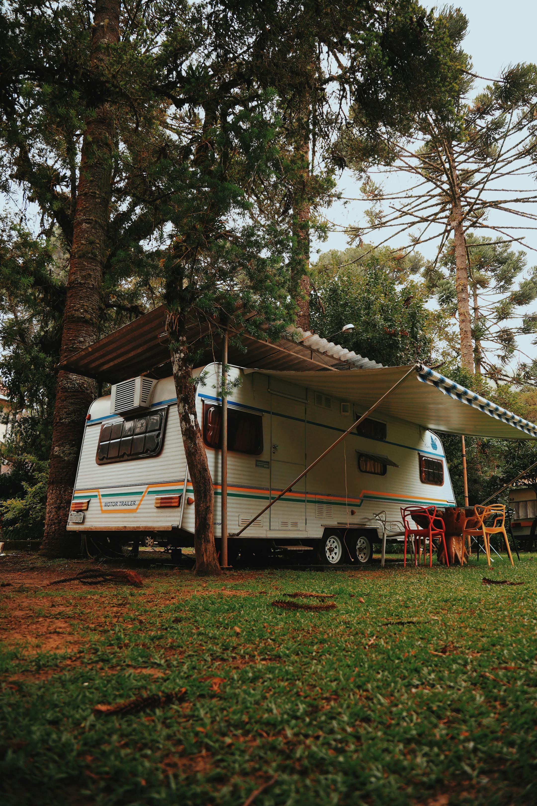 Vintage campervan parked amidst towering trees, offering a serene and rustic outdoor experience.