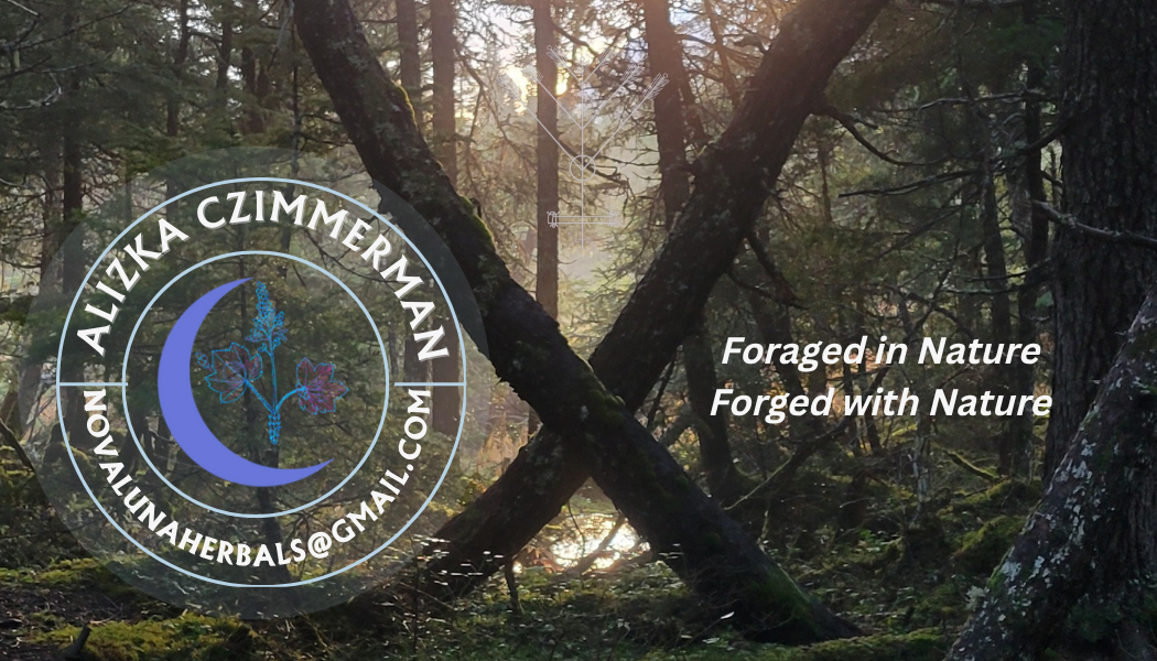 Copy of novaluna businesscard (Business Card (US)) (1).png