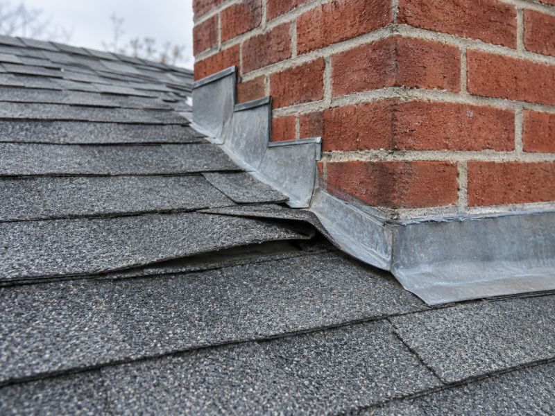 Roof shingles with a curled shingle edge