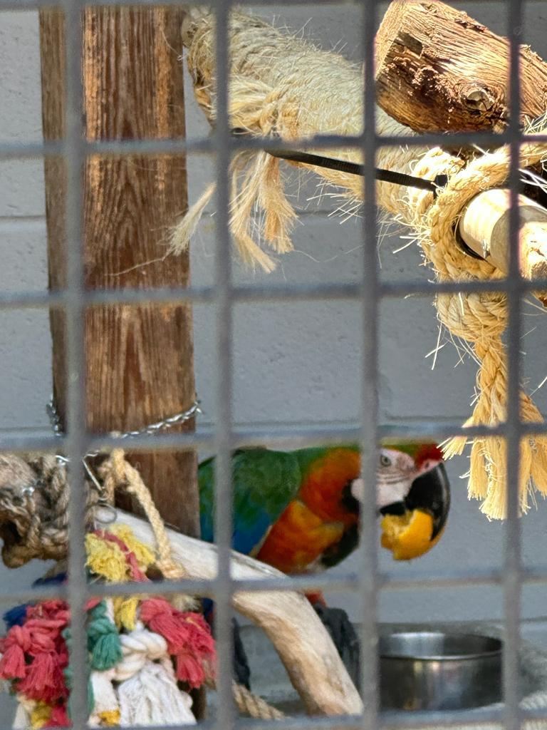 whatsapp image 2023-06-30 at 5.44.06 am (1).jpeg