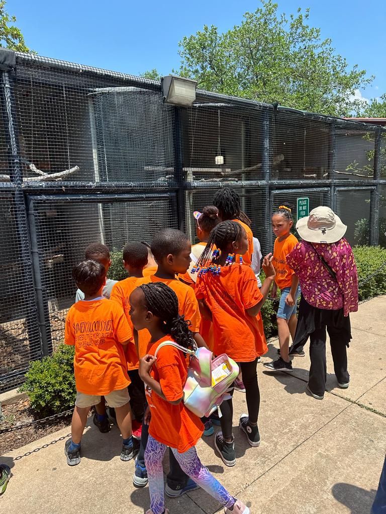 whatsapp image 2023-06-30 at 5.40.37 am.jpeg