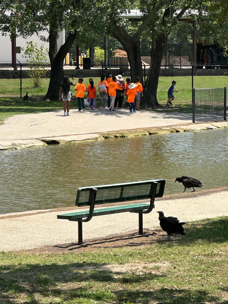 whatsapp image 2023-06-30 at 5.44.06 am.jpeg