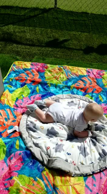 whatsapp video 2023-04-12 at 12.14.54 pm.mp4